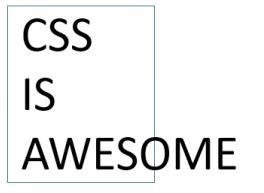 cssisawesomefinal.png