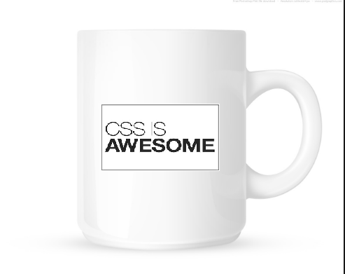 cssmug1.png
