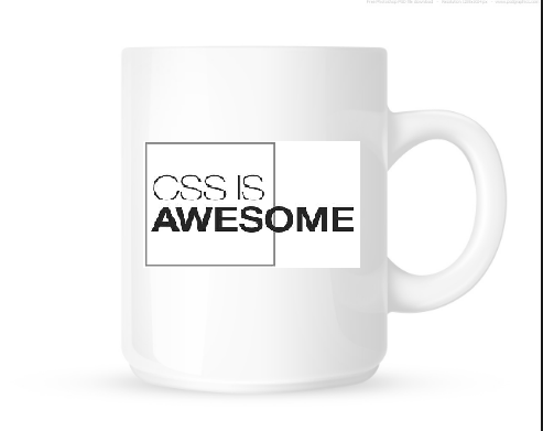 cssmug2.png